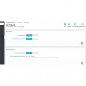 SEO Google Hreflang & Canonical Tags on All Pages