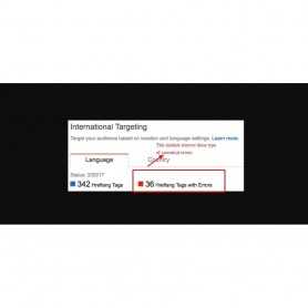 SEO Google Hreflang & Canonical Tags on All Pages