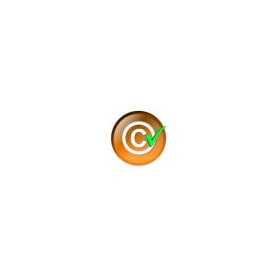 Protection du contenu et protection contre la copie - Module PrestaShop