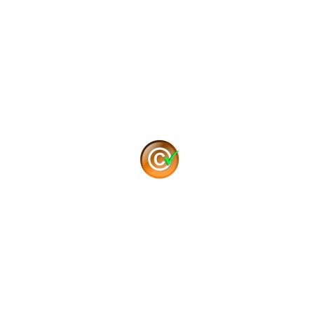 Protection du contenu et protection contre la copie - Module PrestaShop