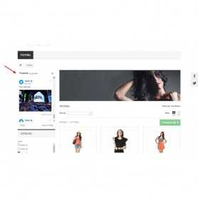 Module Twitter Feeds Prestashop