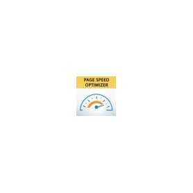 Google Page Speed Optimizer Module PrestaShop