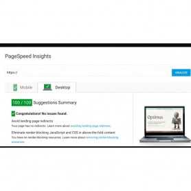 Google Page Speed Optimizer-modul PrestaShop