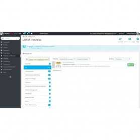 Module Google Page Speed Optimizer PrestaShop