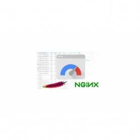 Module PageSpeed Insights PrestaShop