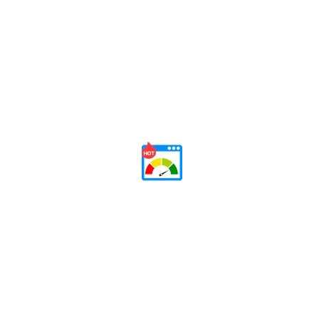 Modules d'optimisation de la vitesse des pages Lazy Load Images