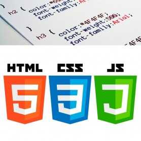 Custom CSS and JS