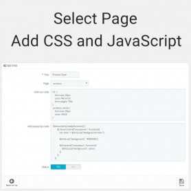 CSS et JS personnalisés - Avancé