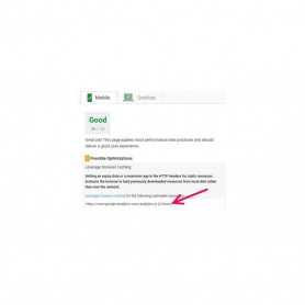 Utnyttja webbläsarcaching Ultimate Module PrestaShop