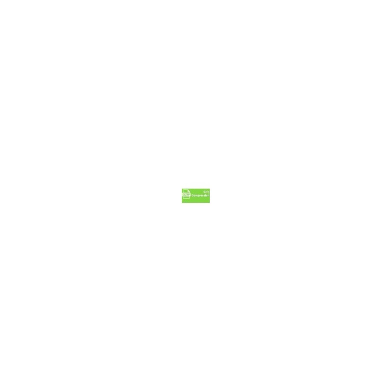 GZIP Compression Module PrestaShop
