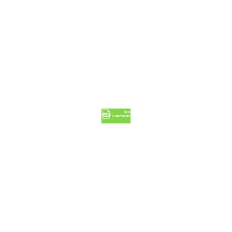 Module de compression GZIP PrestaShop