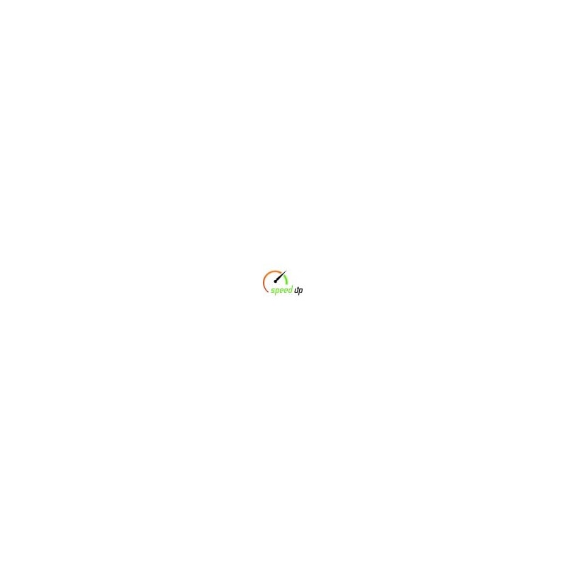 PS Speedup Module PrestaShop