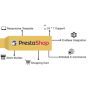 Free Prestashop suppoert free and error fixing