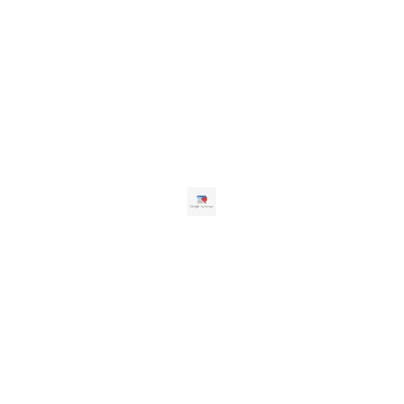 GA4 Google Tag Manager - Vorab-Modul PrestaShop