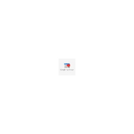 GA4 Google Tag Manager - Vorab-Modul PrestaShop